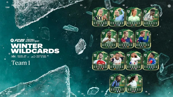 Winter Wildcards