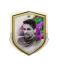 Roberto Baggio