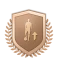 Bronze Upgrade